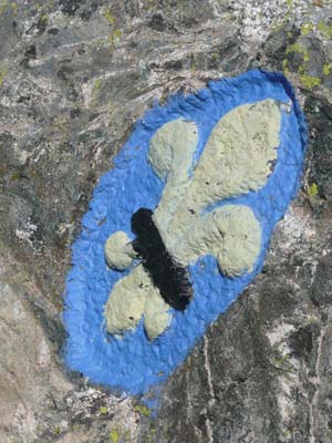 fleur-de-lys-lac-de-la-croix