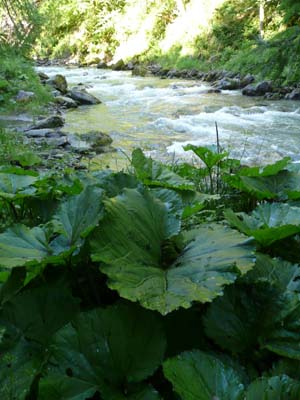 le-long-du-breda-belledonne