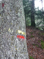 rando facile en Belledonne, vers la Croix de Rochefort