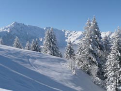 Snowshoeing, French Alps, full-day, half-day, treks, evening with mountainside meal in refuges